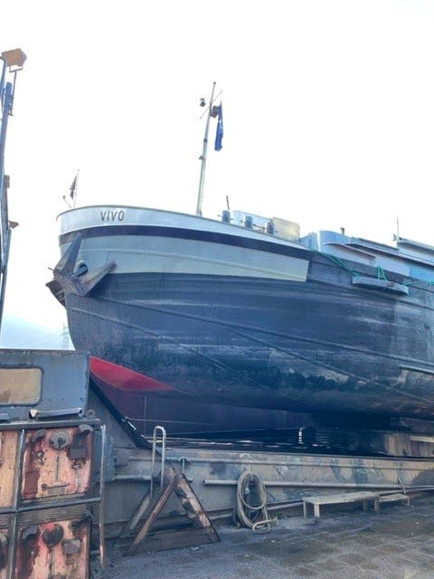 Vivo — thumbnail 4